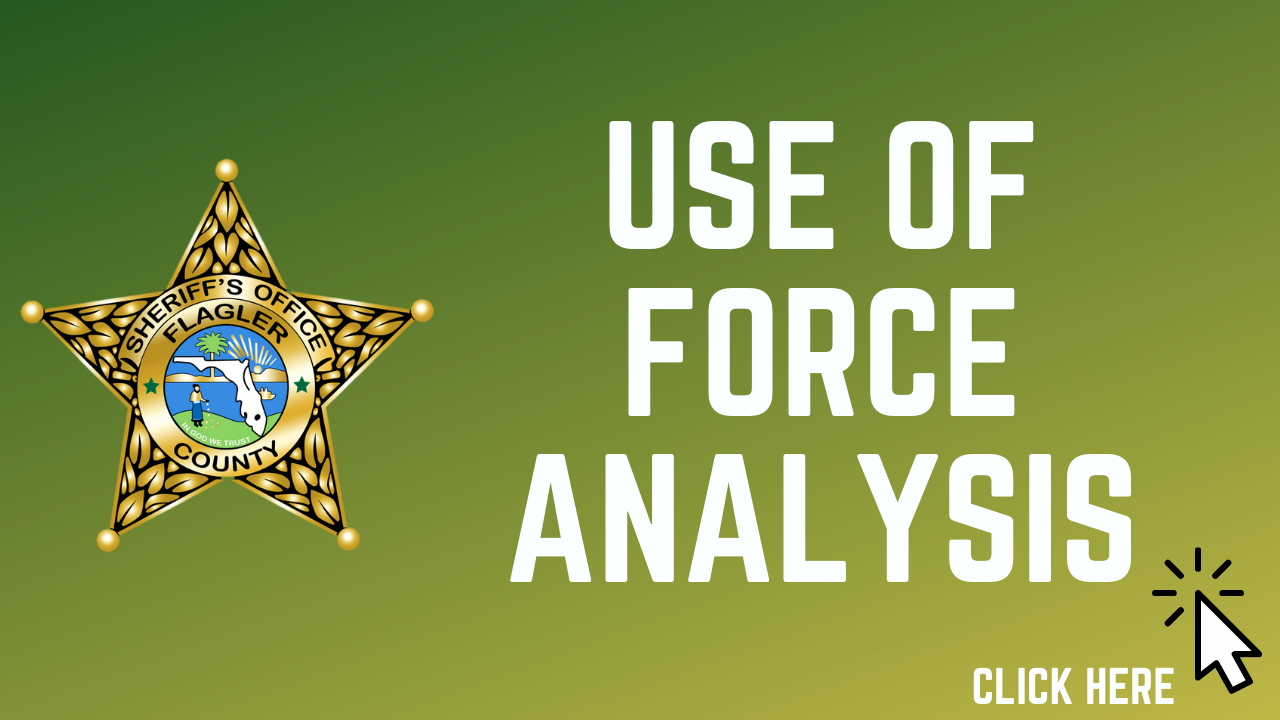 Use of Force Analysis
