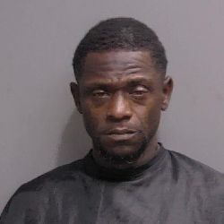Fleeing Felon in Stolen Vehicle Apprehended by FCSO