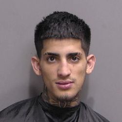 Fleeing Driver Apprehended by FCSO, FBPD, and FHP