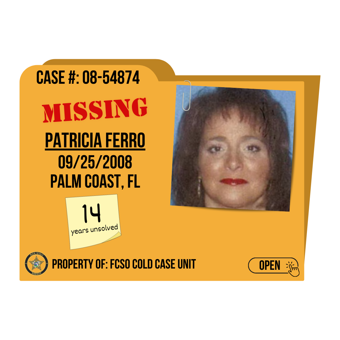 Case 3: 08-54874. Missing, Patricia Ferro. 09/25/2008 from Palm Coast, Florida. Click to open.