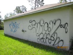 FCSO Searching for Spray Paint Bandits