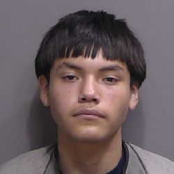 CASE UPDATE: Live Oak Teen Sentenced for West Flagler Armed Burglaries, Firearm Thefts