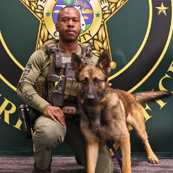 UPDATE: Necropsy Shows K-9 Kyro Had Undiagnosed Heart Condition