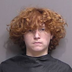 CASE UPDATE: THIRD TEEN ARRESTED IN ROBERY and GRAND THEFT OF A FIREARM CASE