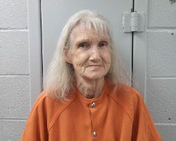 Kentucky Woman Arrested on Flagler County Fugitive Warrant for Felony Grand Theft and Fraud