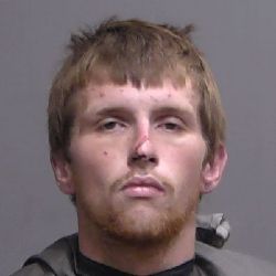 K-9 ‘Takes a Bite Out of Crime,’ Stolen Vehicle Recovered