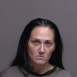 FCSO Arrests Maid Accused of Stealing from Clients 