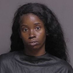 Multi-County Shoplifting Spree Stopped: Two Palatka Women arrested for TJ Maxx Theft in Palm Coast 