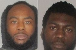Month-long Investigation Nets Two Arrests
