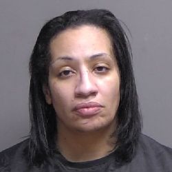 Career Criminal Extradited to Flagler County to Face Fraud, Grand Theft Charges