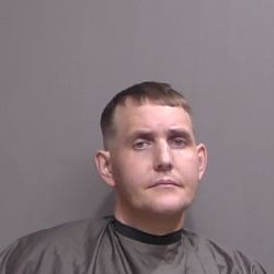 Weekend Roundup: November 15-16