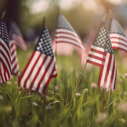 FCSO Launches Memorial Day Weekend Safety Enforcement